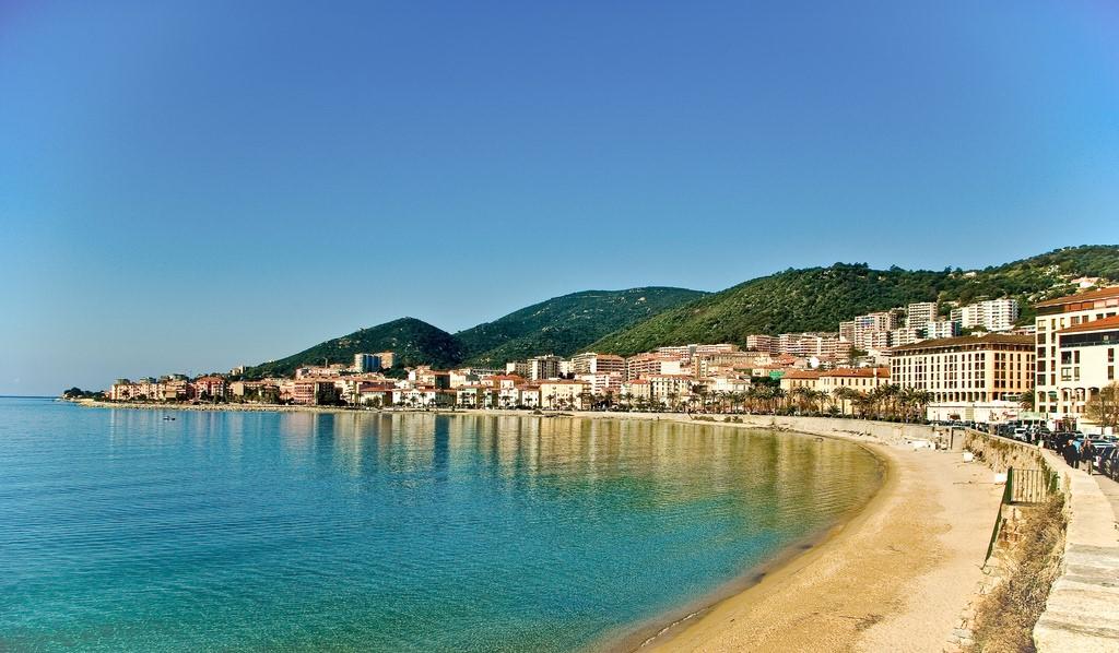 vert tiges20 Ajaccio