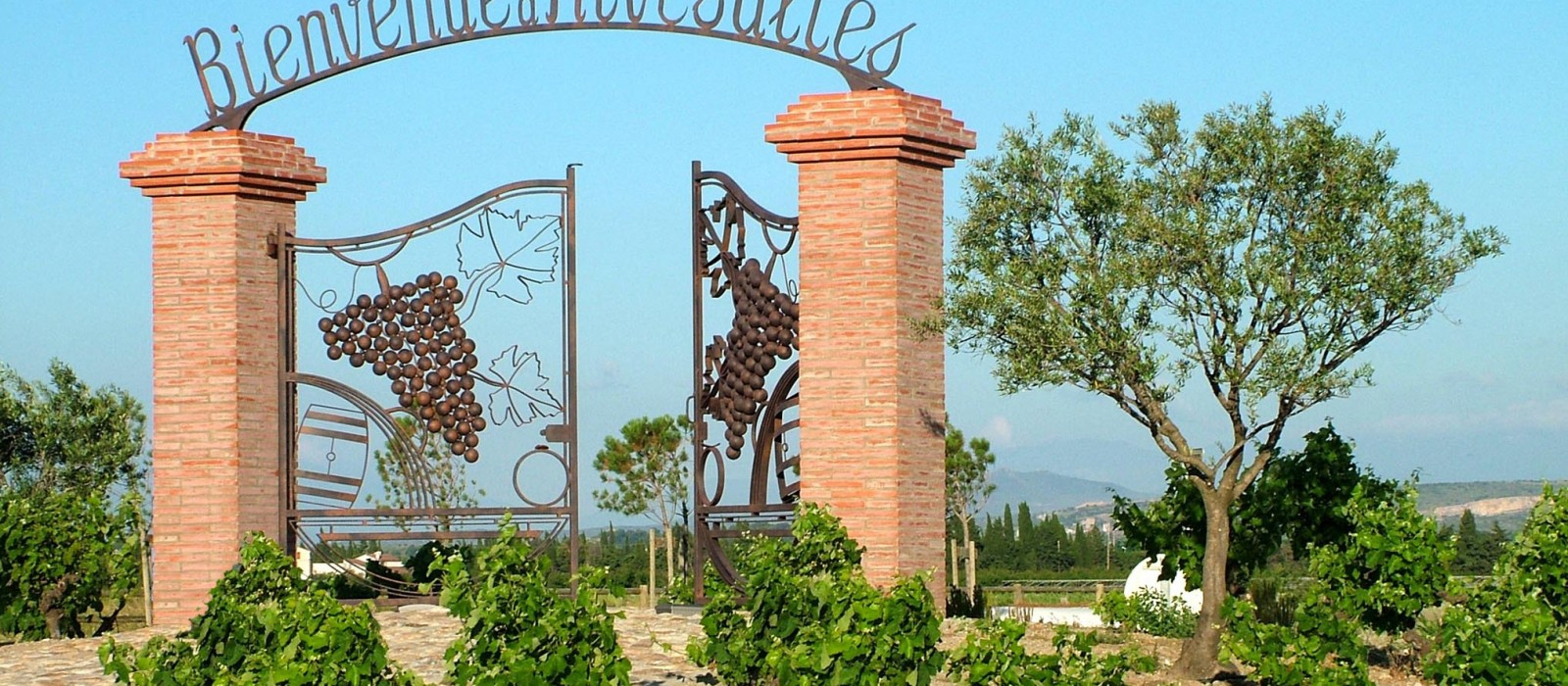 Lopez Mallorquin Marie Rivesaltes