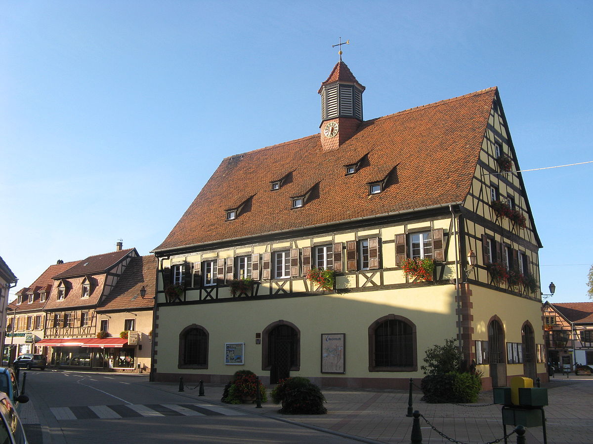 Design Paysage Bischwiller