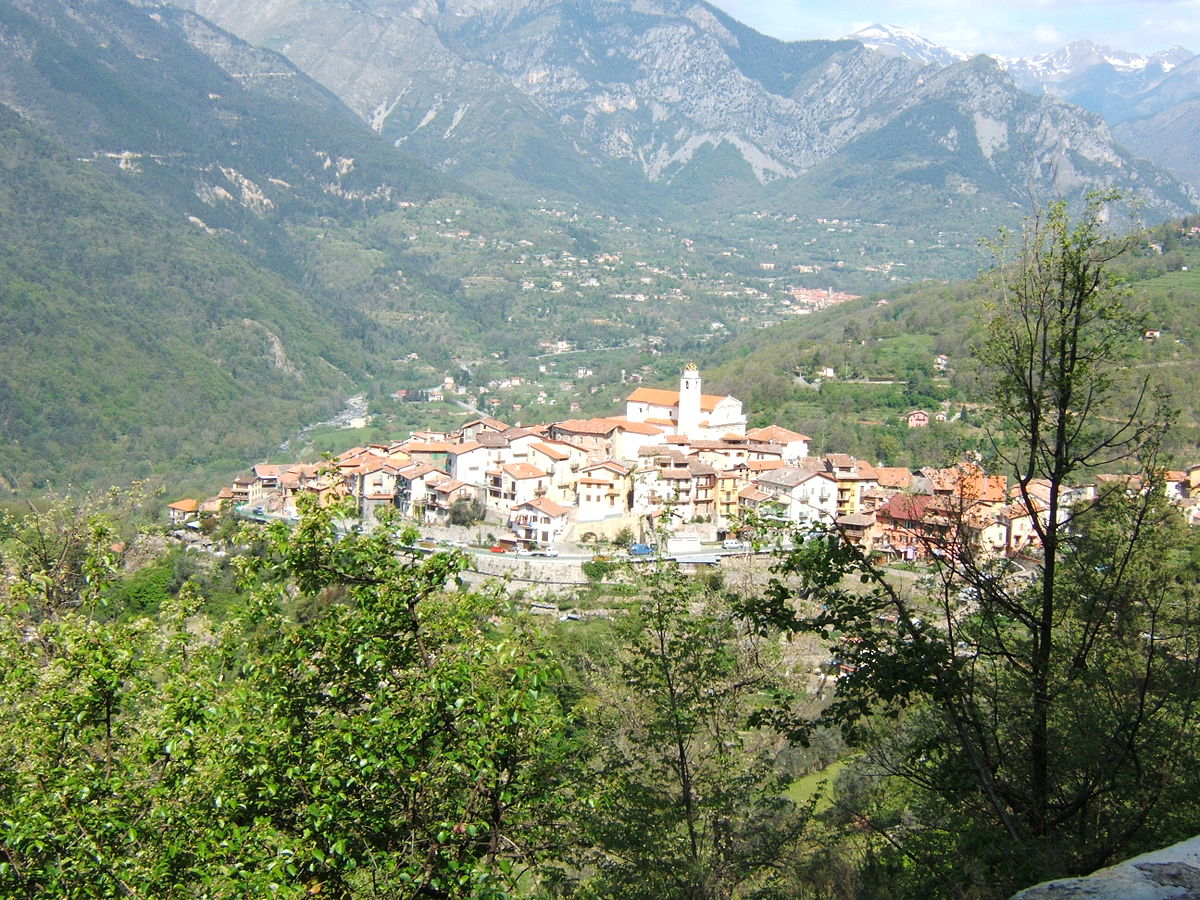 Art et Service Paysage Bollène