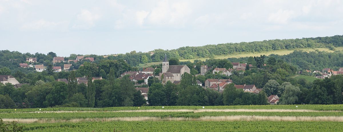 Pava Paysage Mellecey