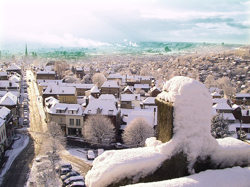 Mahieu Espaces Verts Bihorel