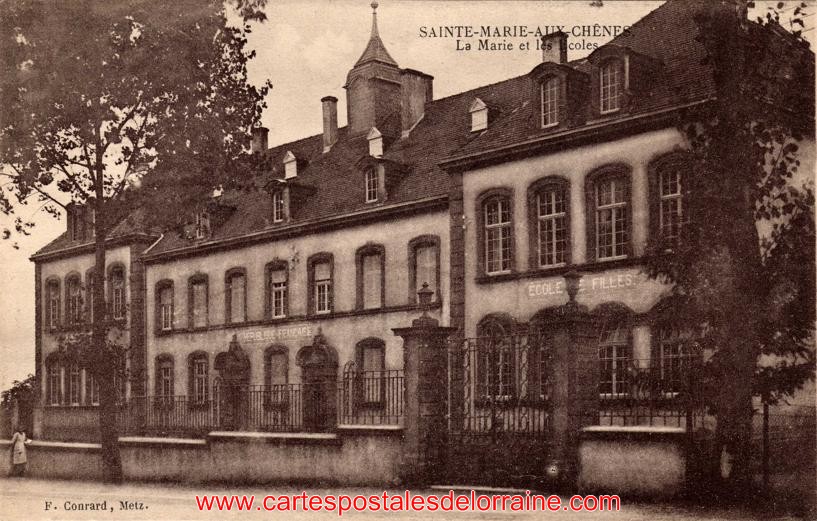 Bedell Didier Sainte-Marie-aux-Chênes