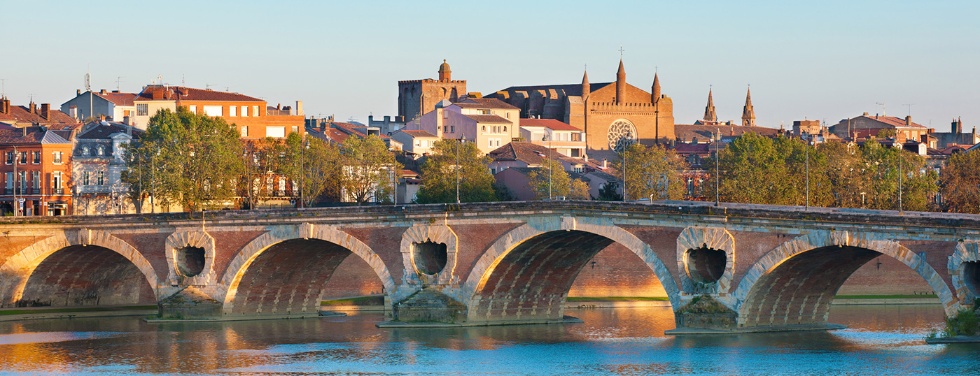 Polygonum Paysages Toulouse