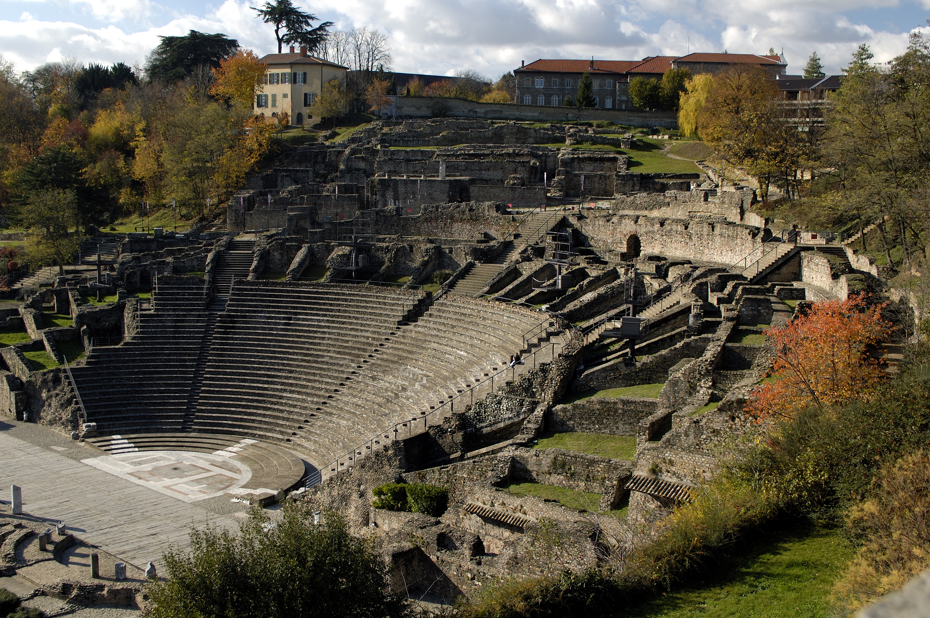 Caudex Lyon