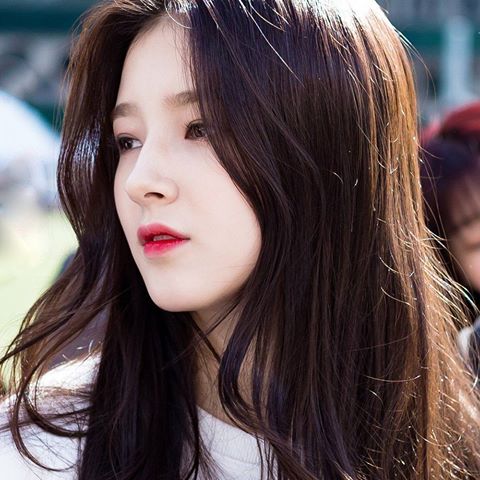 Nandina Paysage Nancy