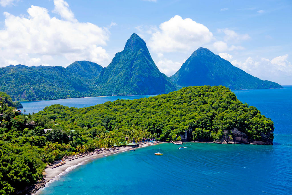 Taille à Dom' Anse