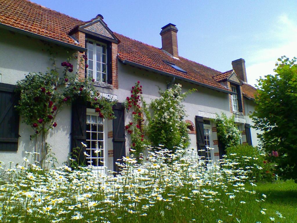 Société des Courses d'Orléans La Ferté-Saint-Cyr