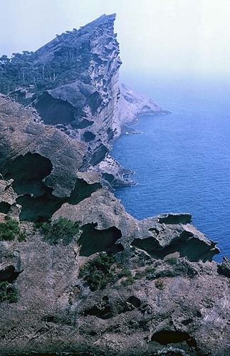 Plauchier Et Cie La Ciotat