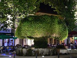 Mauro Romain Salon-de-Provence