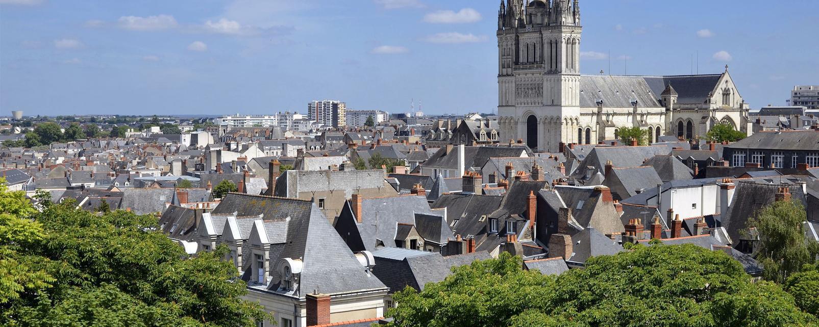 La 5ème Saison Angers