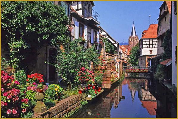 MEYER SARL Wissembourg