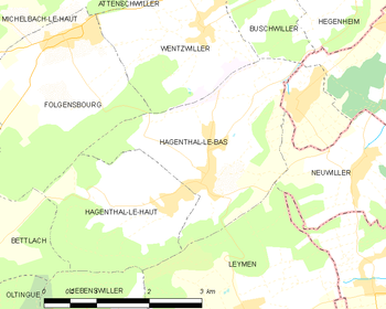 Verdure Service Hagenthal-le-Bas