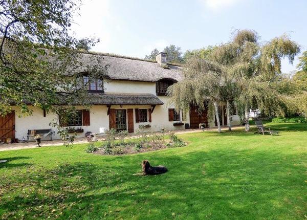 Entreprise Parcs et Jardins Brezolles