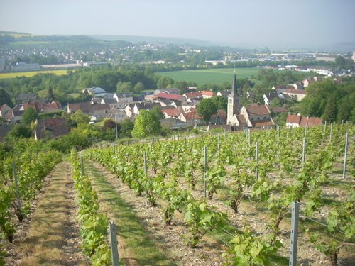 Carré Pépinières Parcs et Jardins Blesmes