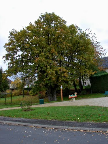 Moquet Entreprise Parigné-sur-Braye