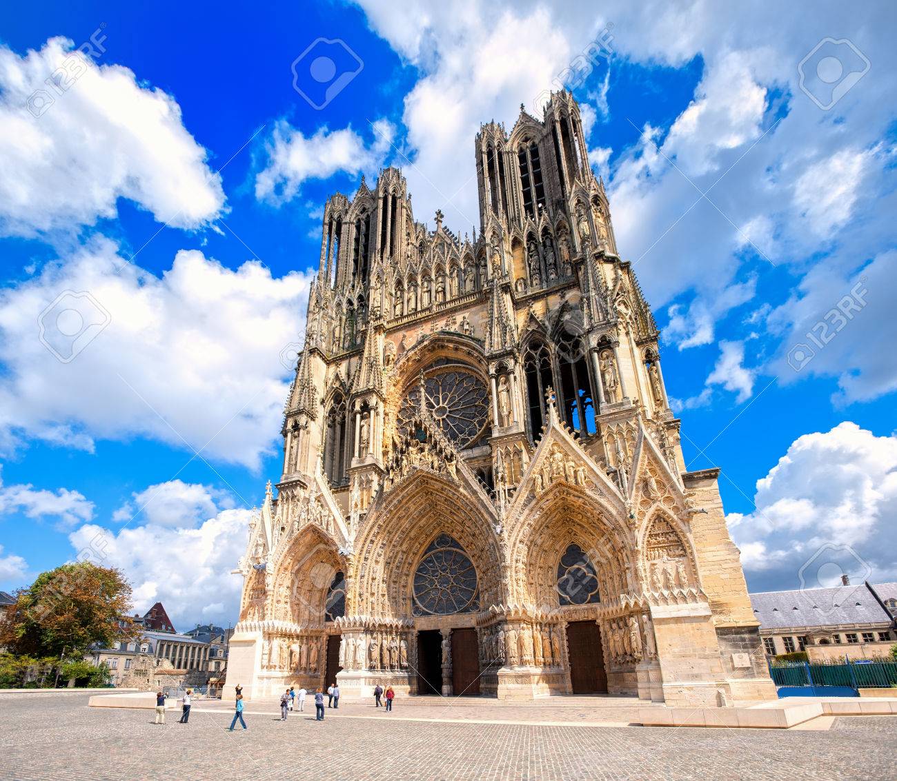 Abies Espaces Verts Reims