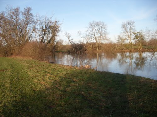 Albizzia Espaces Verts Ruffey-le-Château