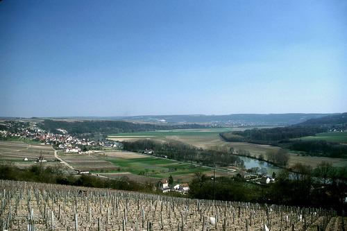 LC Paysage Saâcy-sur-Marne