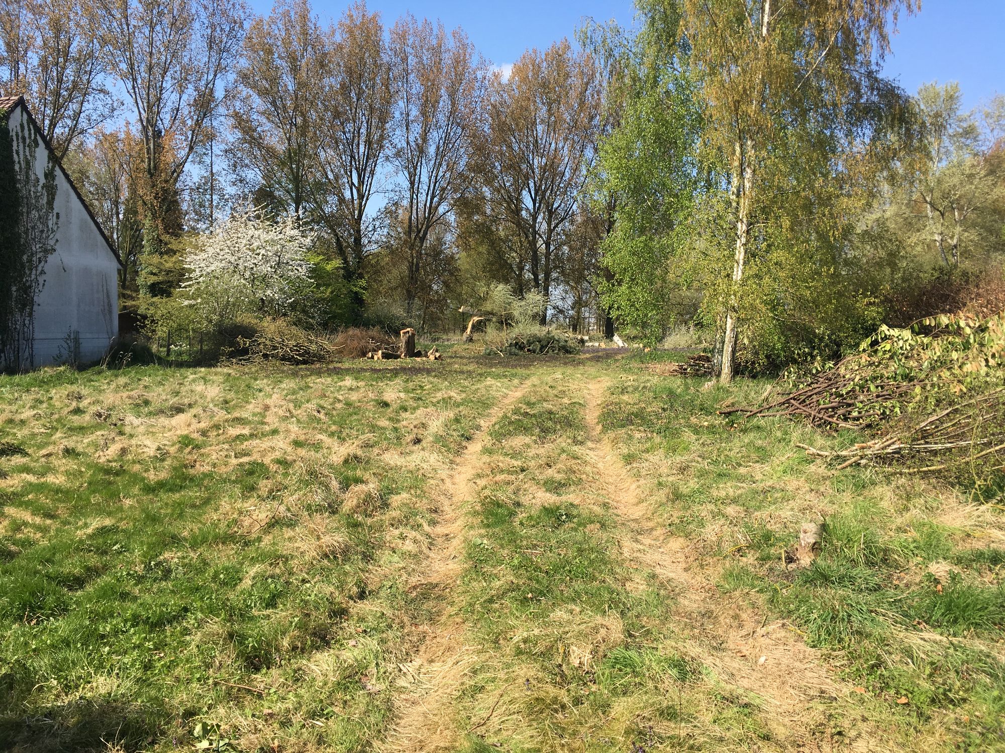 les espaces verts desbuisson Lorgies