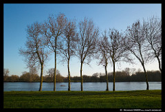 Courilleau Jacques Sainte-Gemmes-sur-Loire
