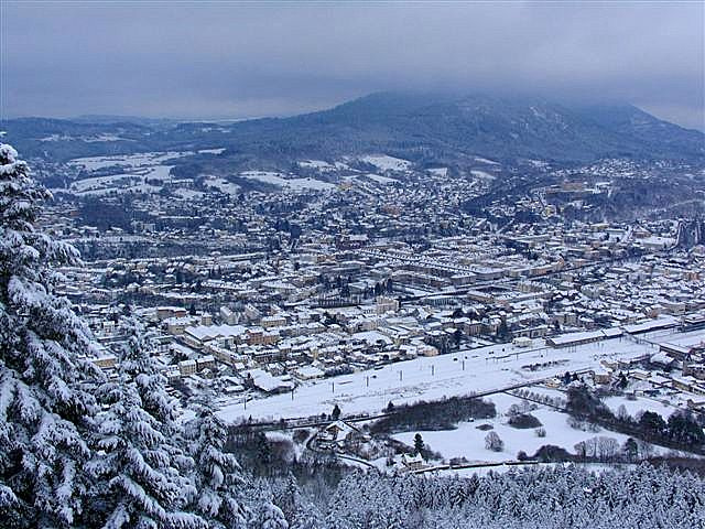 Viriot Daniel Saint-Dié-des-Vosges