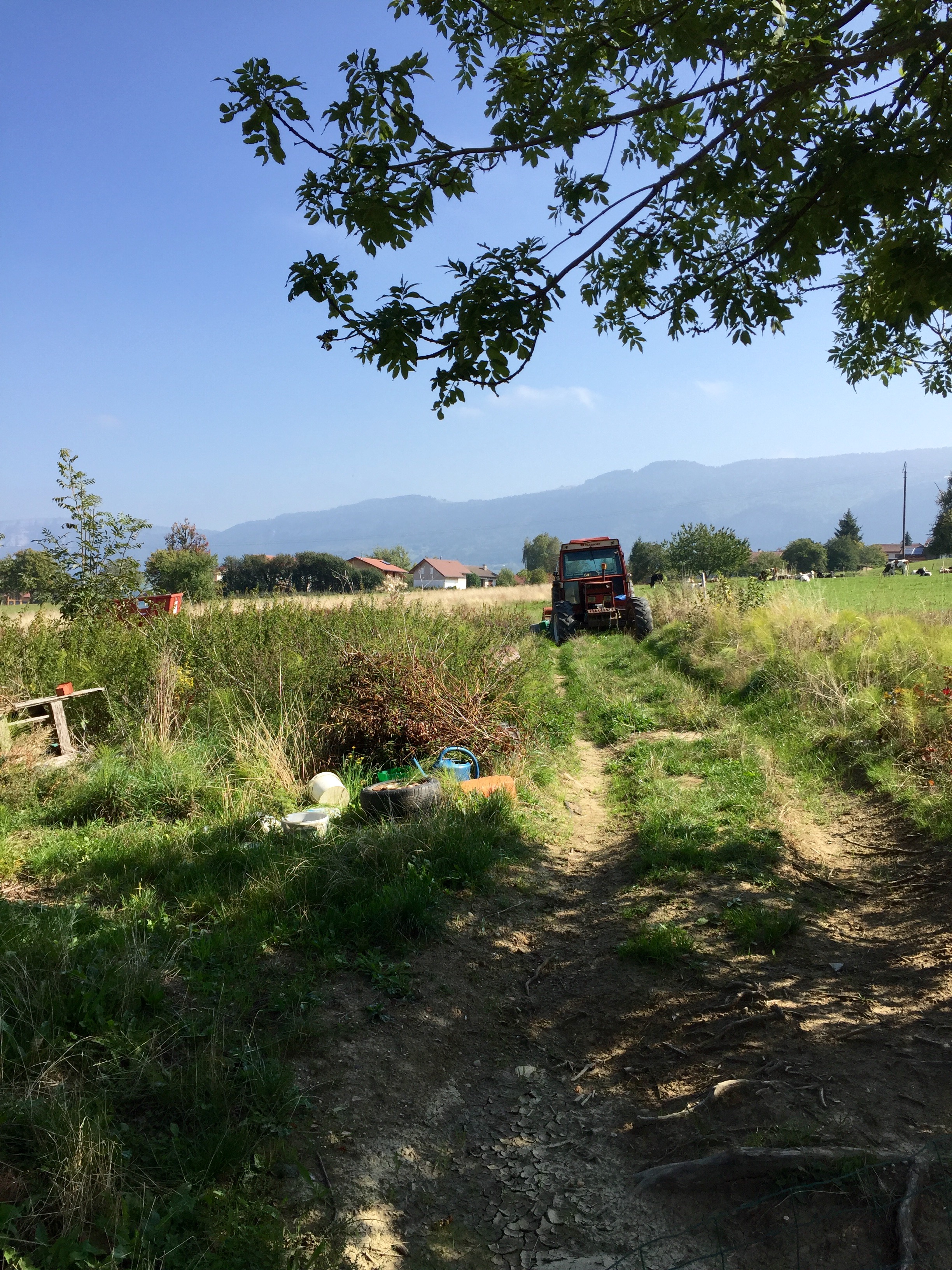 Veget'Al D - Alain Dupenloup Présilly