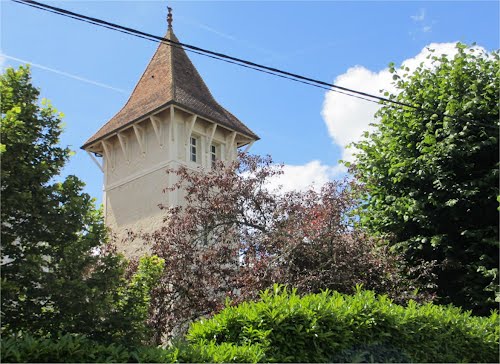 Borragini Brice Veneux-les-Sablons