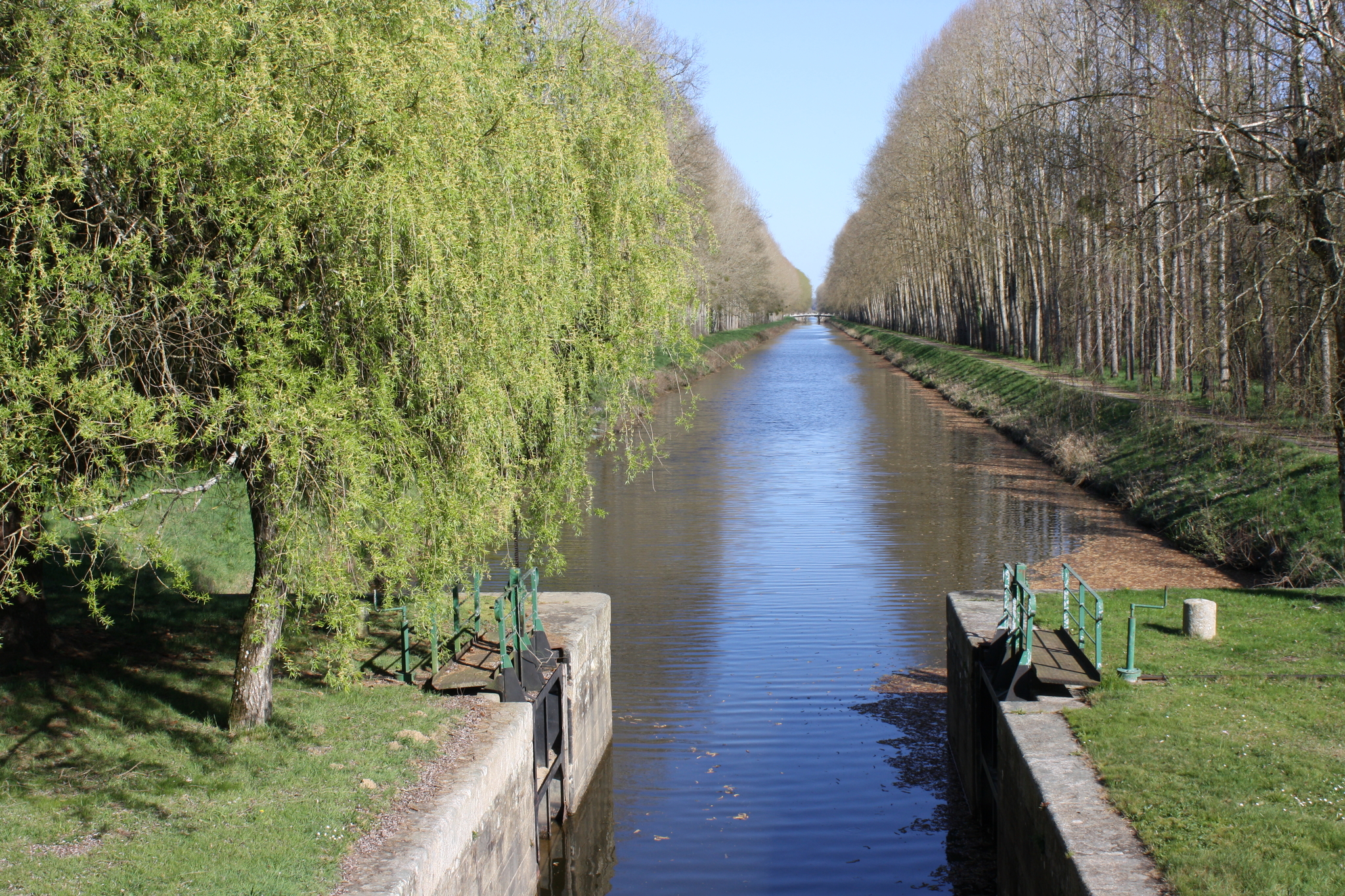 Tera Multi-services Peillac