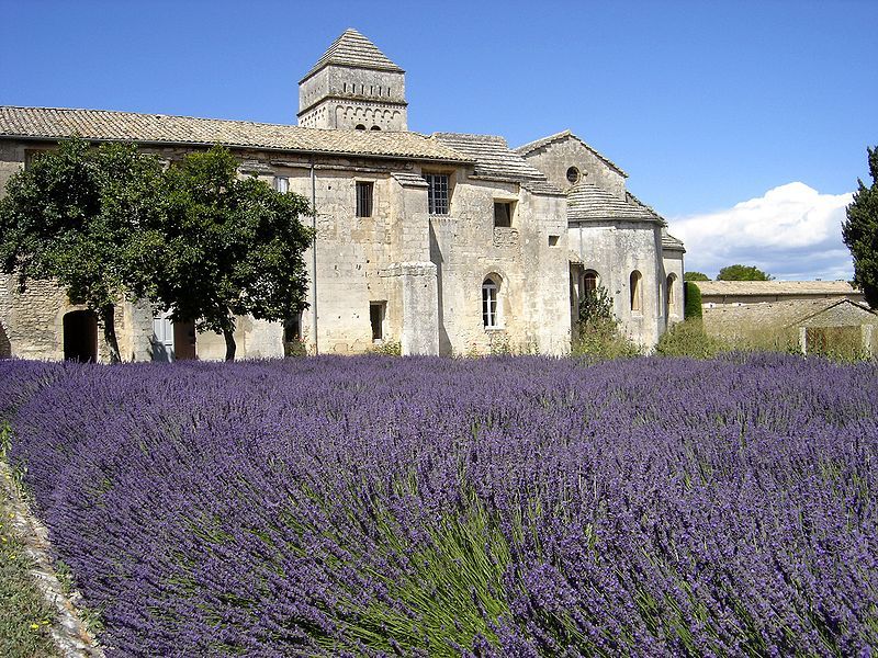 Conti Stéphane Saint-Rémy-de-Provence