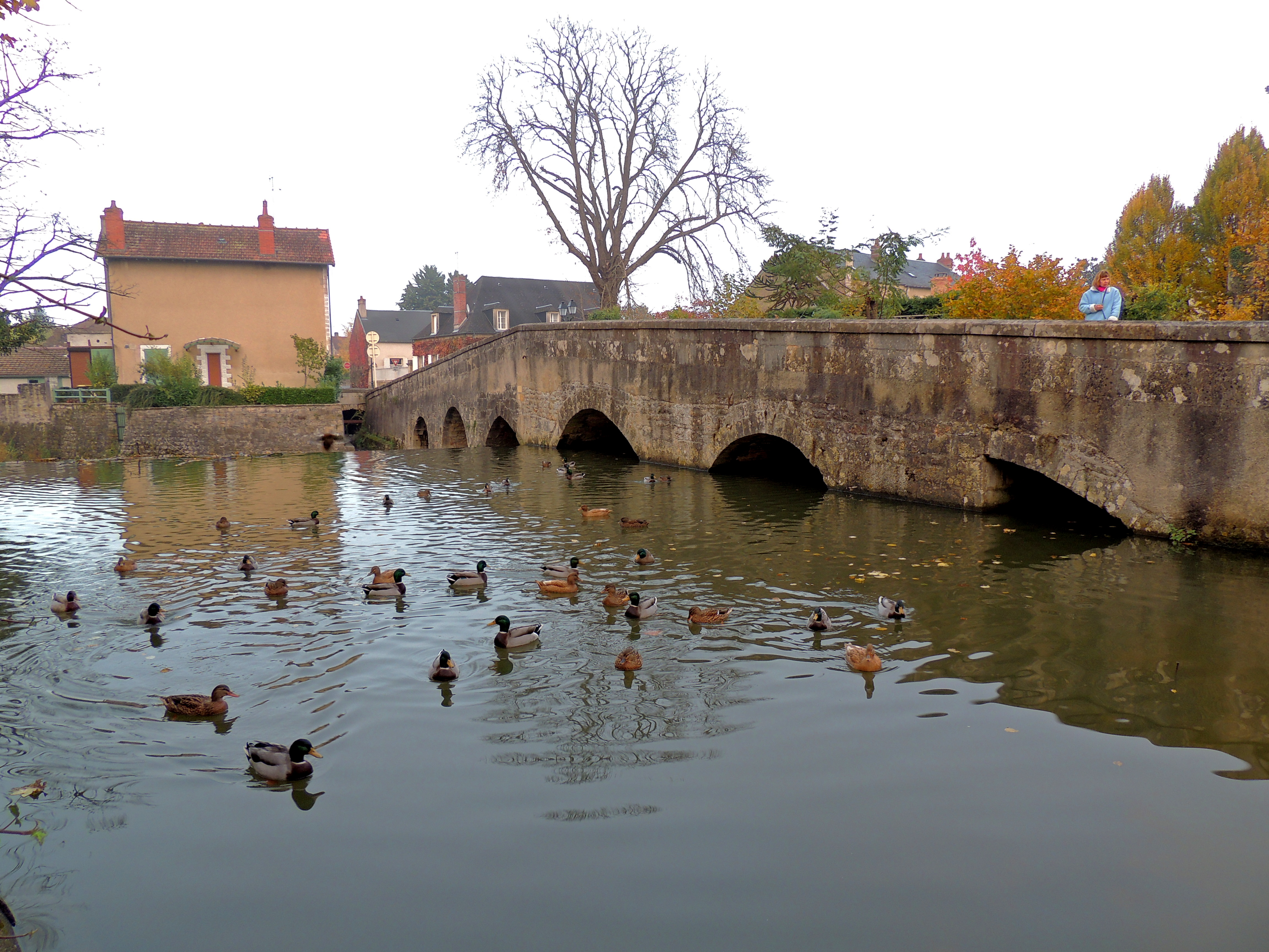 Jabouille Florian Saint-Amand-Montrond