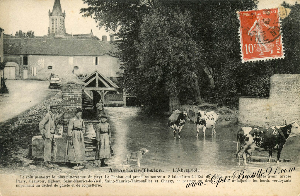 Amette Bruno Aillant-sur-Tholon