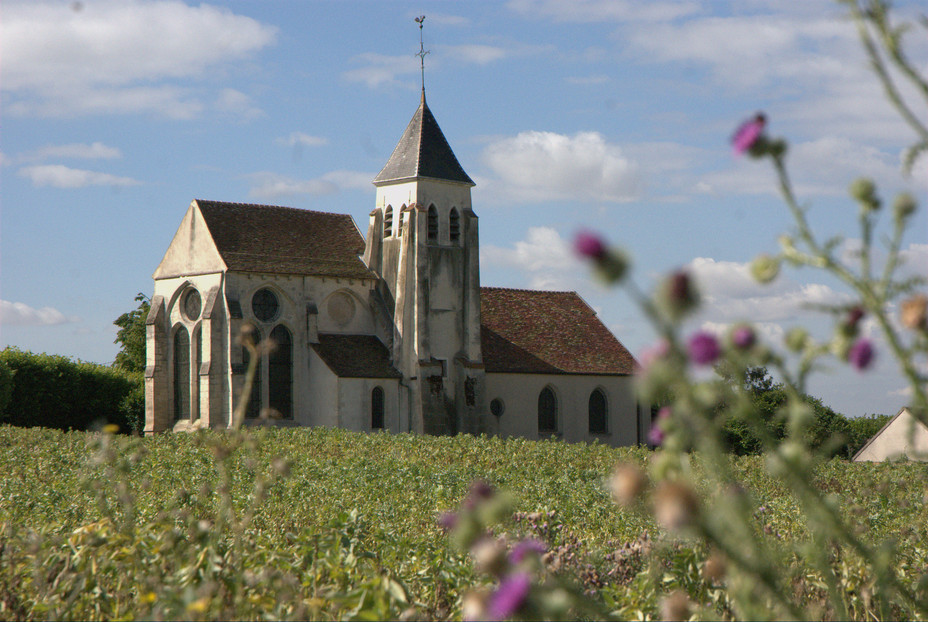 Saint Germain Landscape Bussy-Saint-Martin