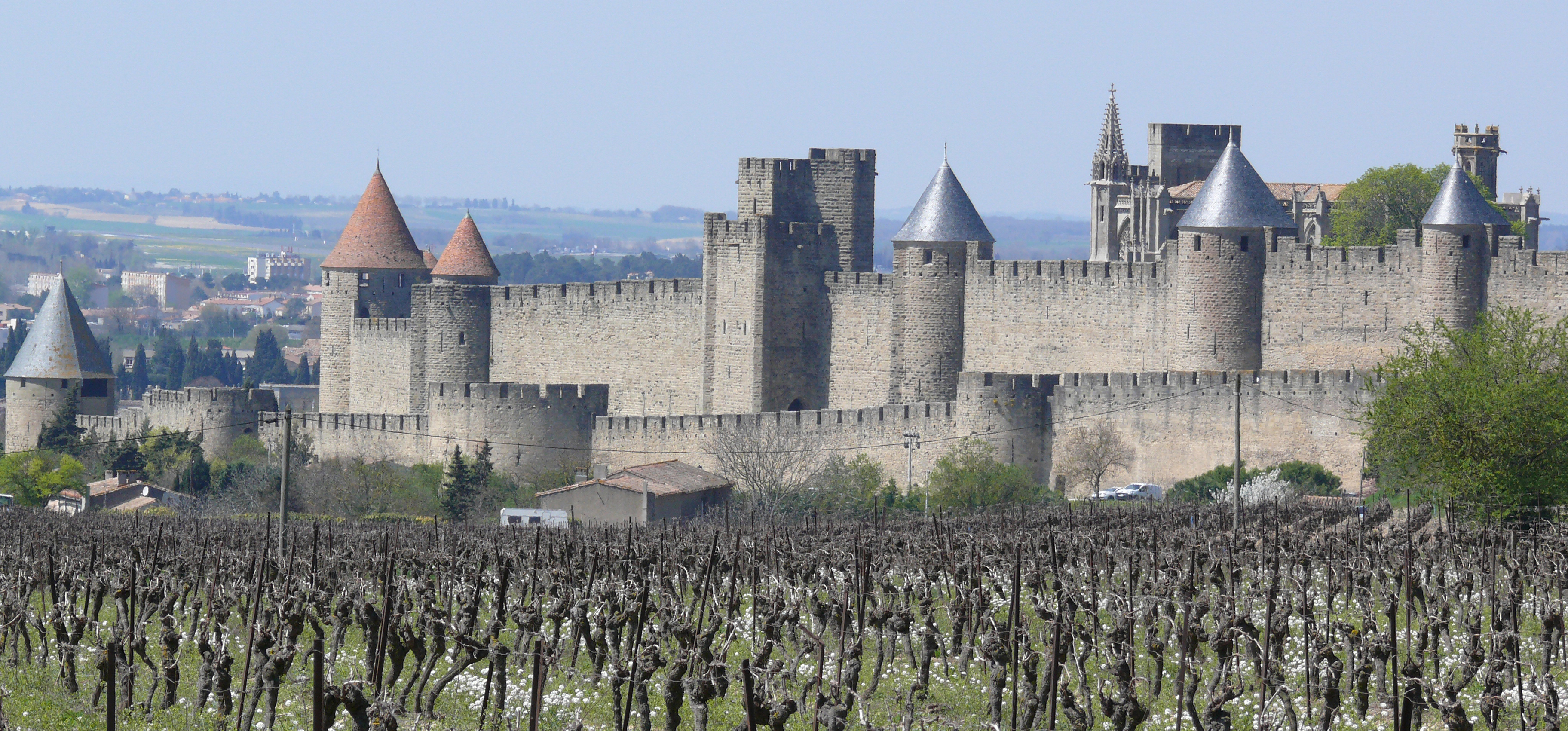 Carcassonne Élagage Abattage Carcassonne