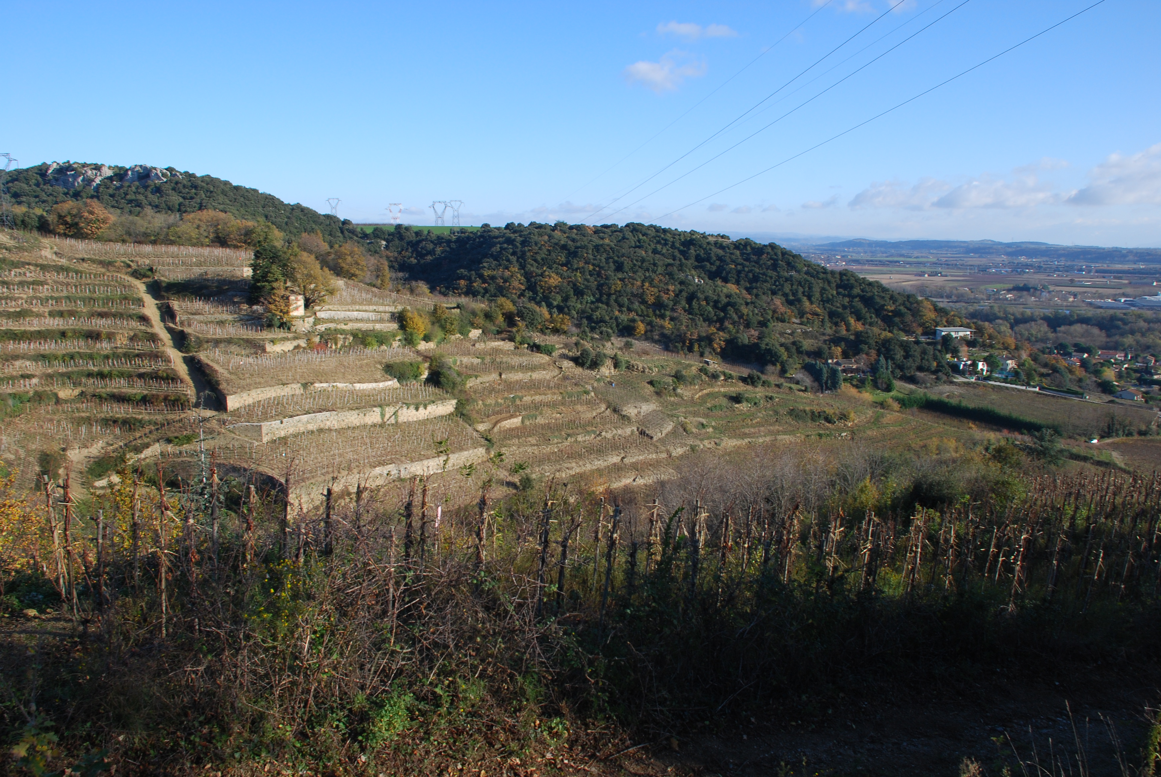 Vinson Sebastien Cornas