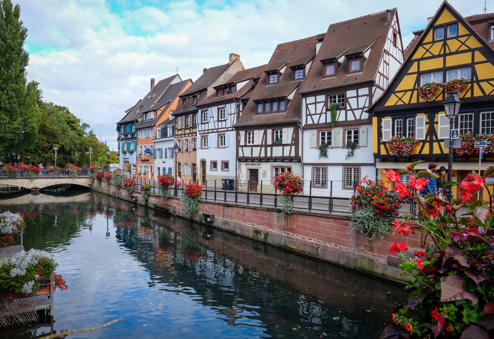 Free Dom Services à domicile - Colmar Colmar