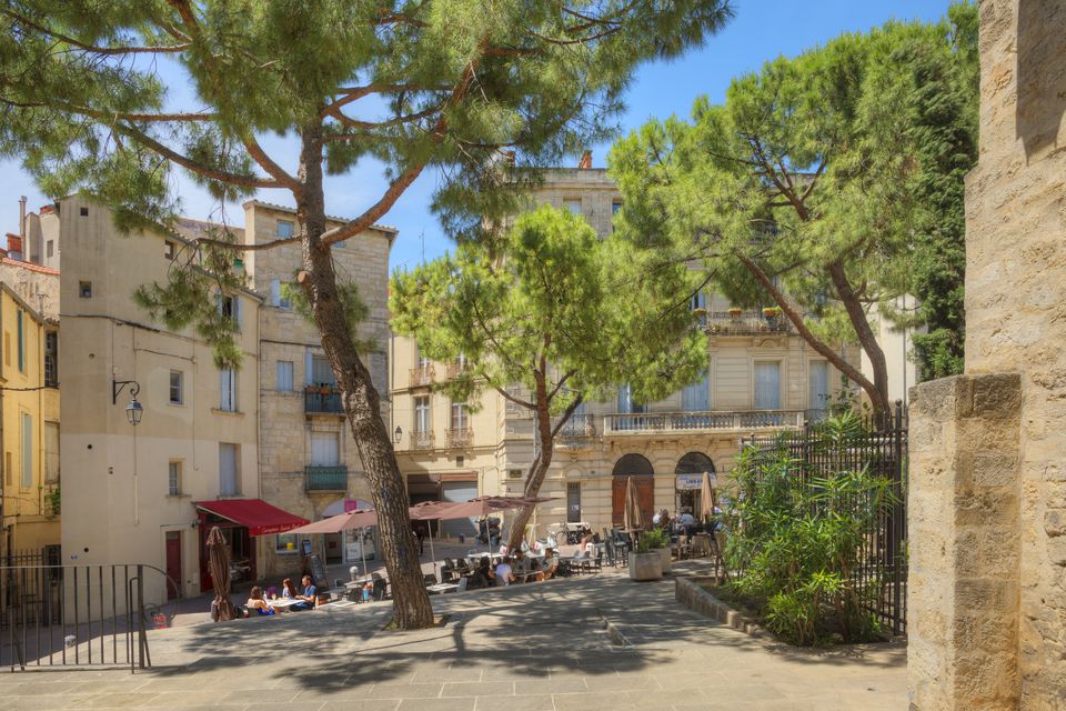 Crea Terra Montpellier