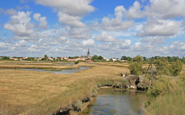 Grelier Fabien L'Île-d'Olonne