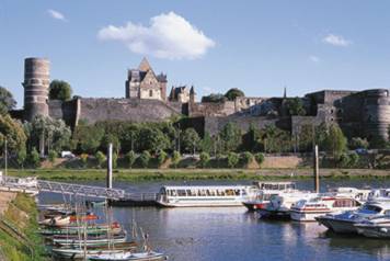 Perru Elagage Abattage Angers