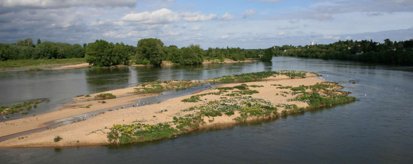 Blain Dominique Montlouis-sur-Loire