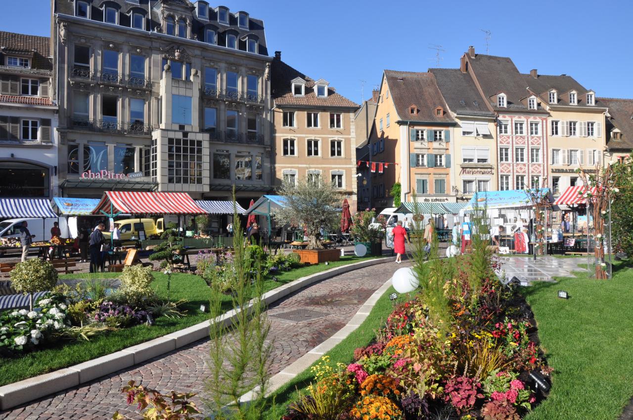 id verde Mulhouse