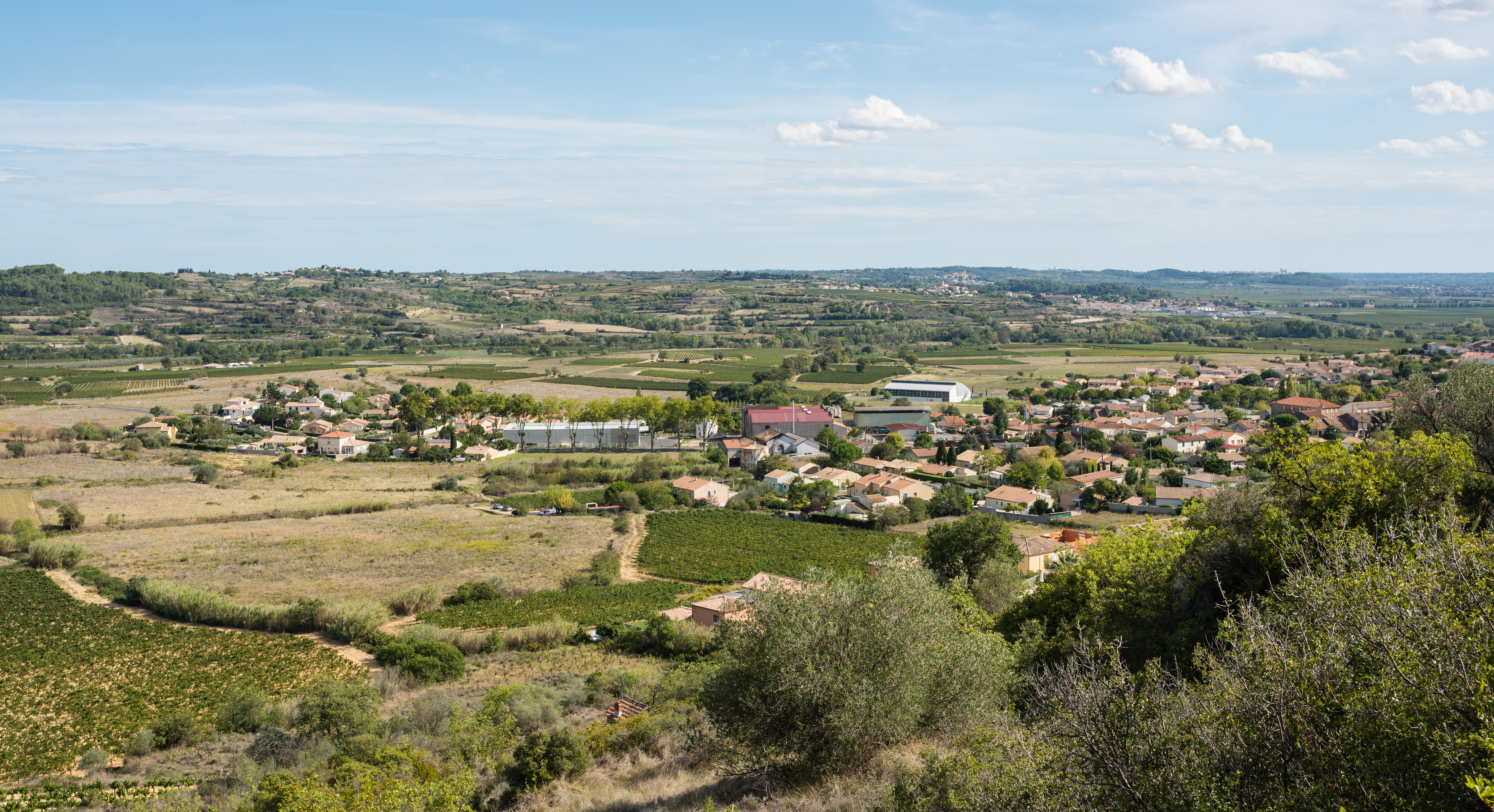 Berbiguier Luc Murviel-lès-Béziers