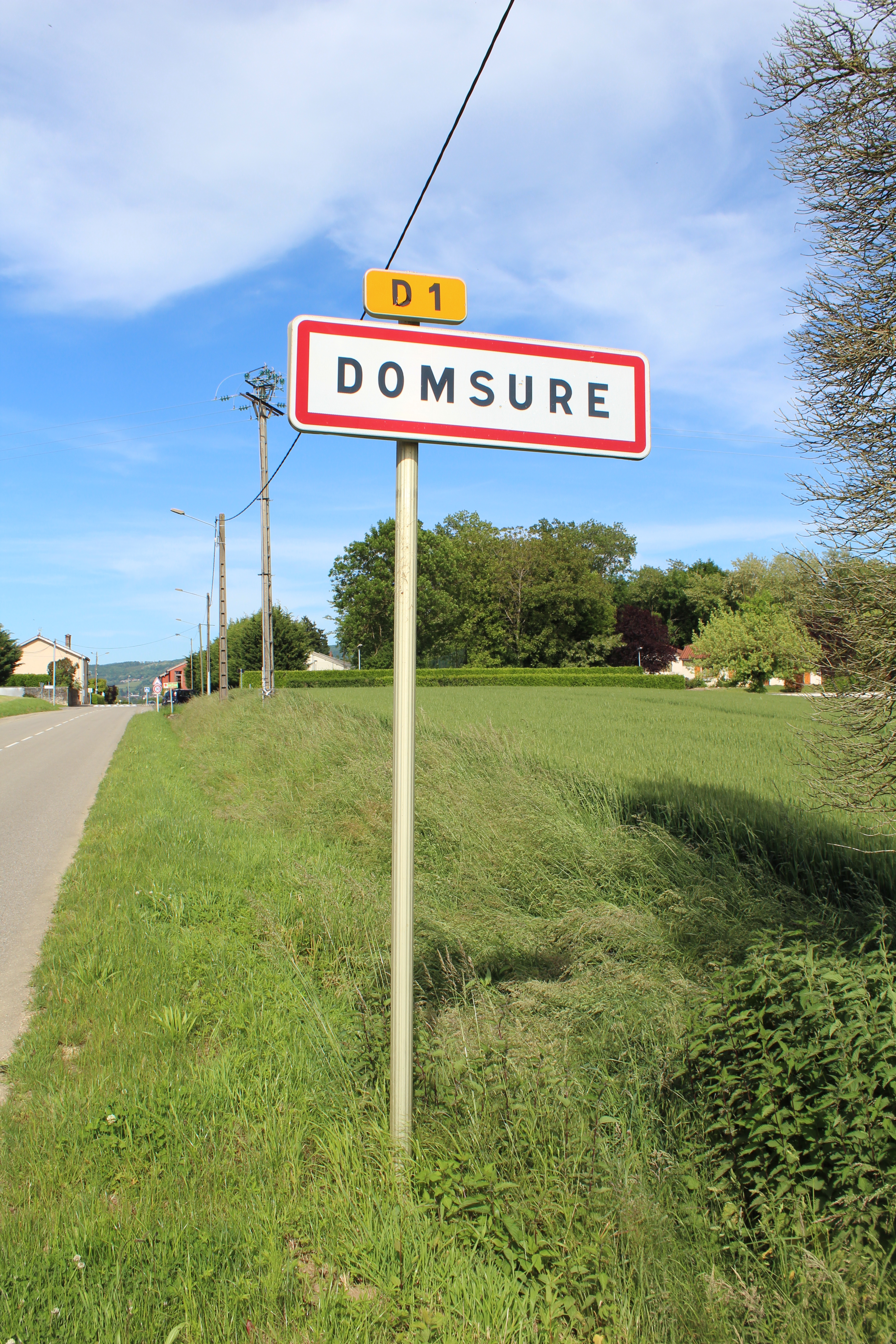 Delay-Moiraud Domsure