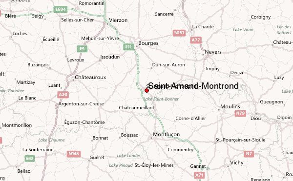 Thiesse Dominique Saint-Amand-Montrond