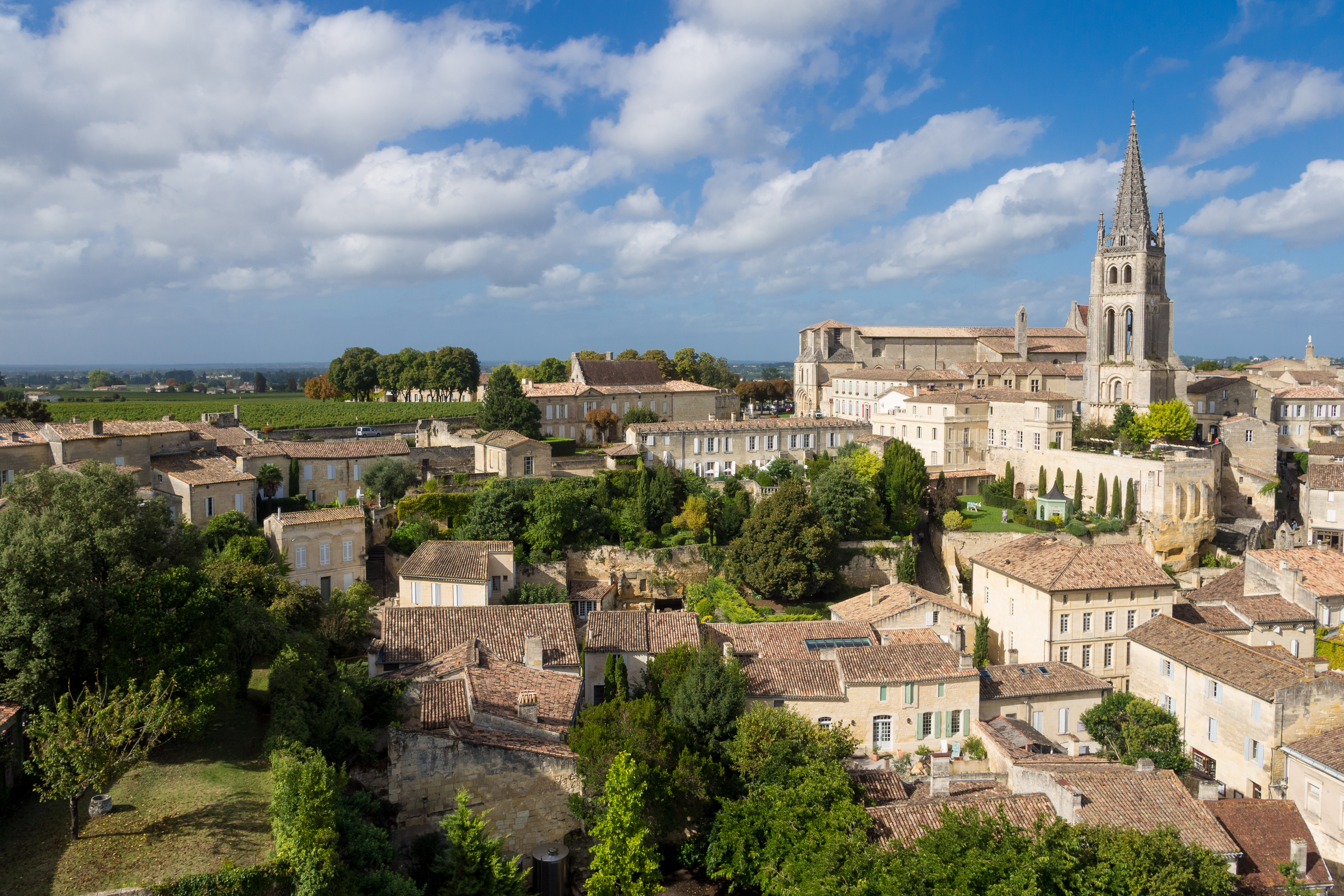 A + R Paysagistes Saint-Émilion