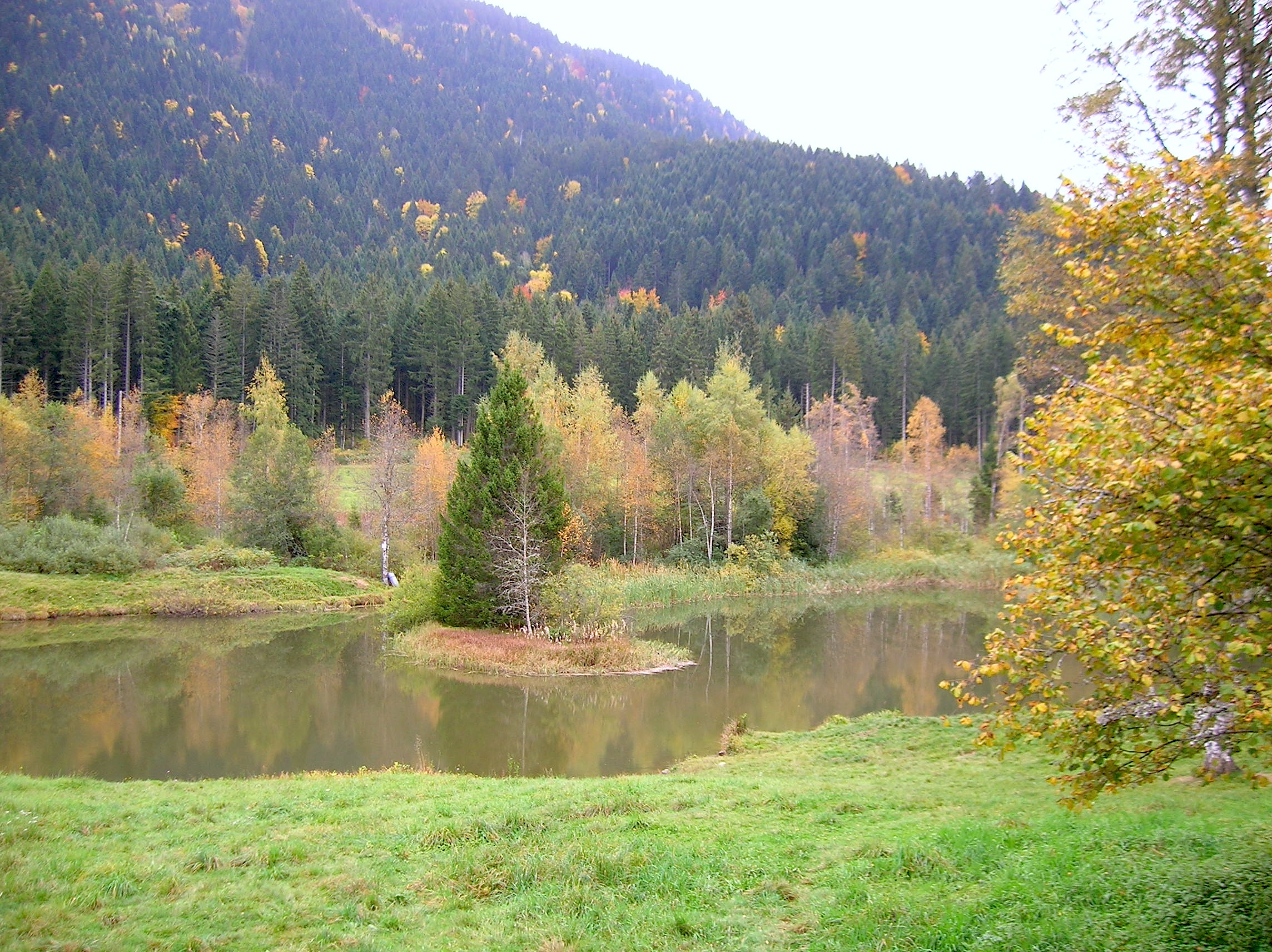Gauthier Thierry Saint-Martin-d'Uriage