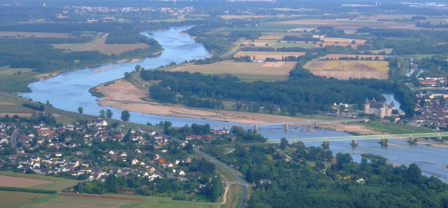Weinzaepflen Olivier Herve Saint-Cyr-sur-Loire