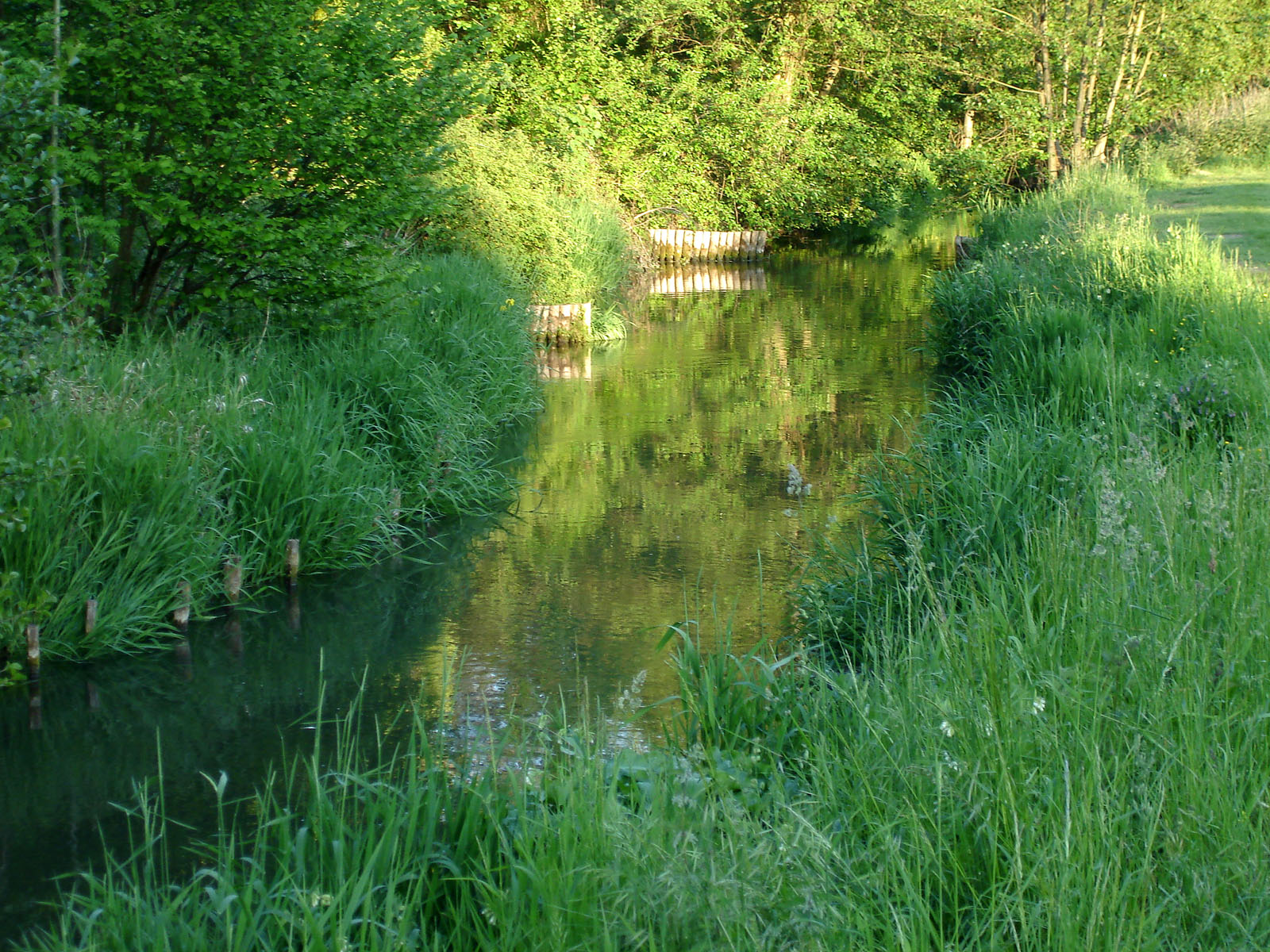 Parc Et Jardins Herve Thoniard Santeuil