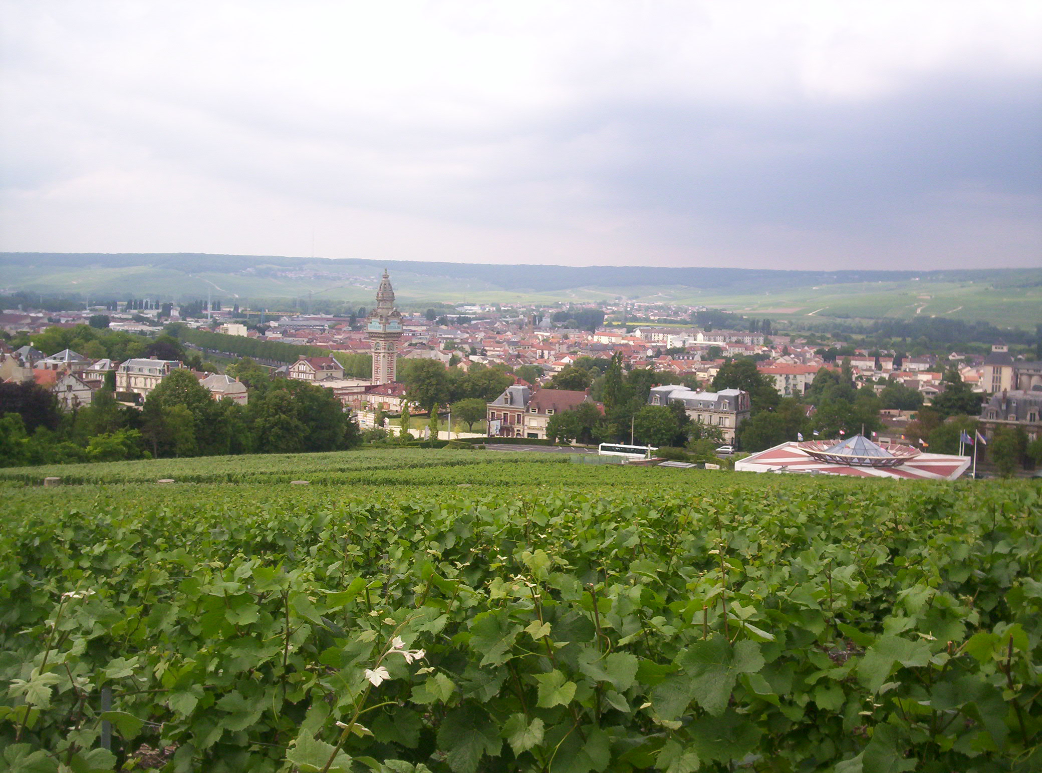 Vysages - paysagiste concepteur Épernay