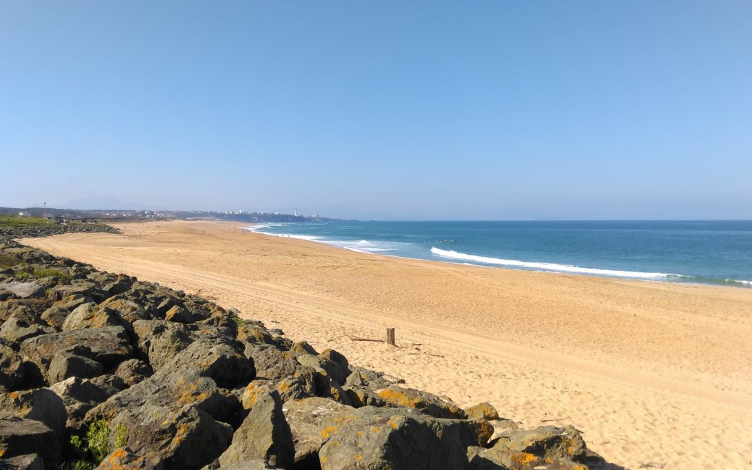 BELHARRA JARDINS Anglet